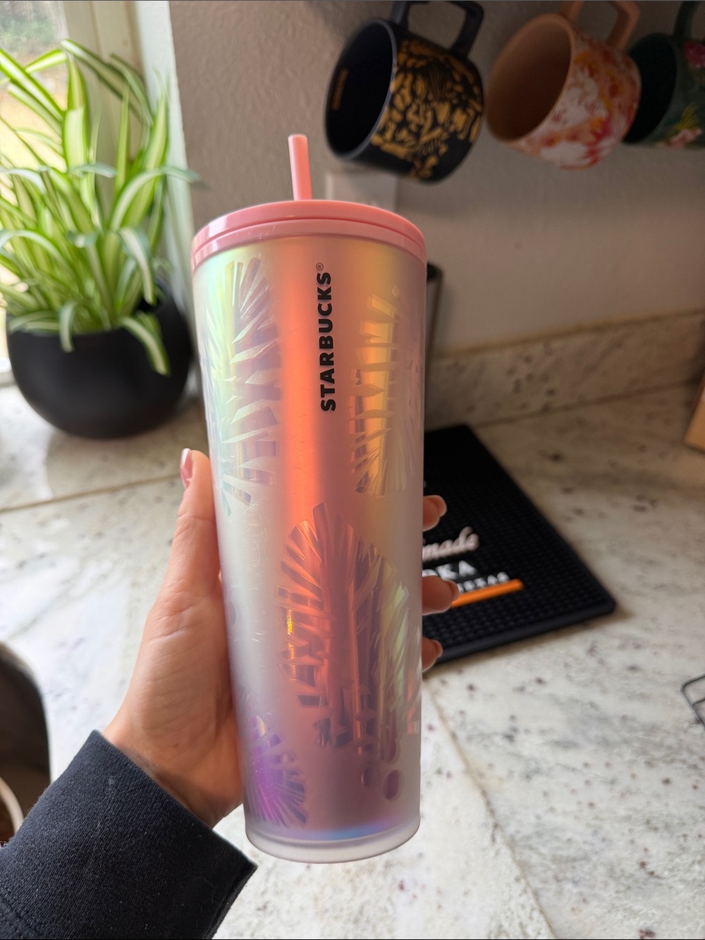 Starbucks soft touch Pinecone Tumbler